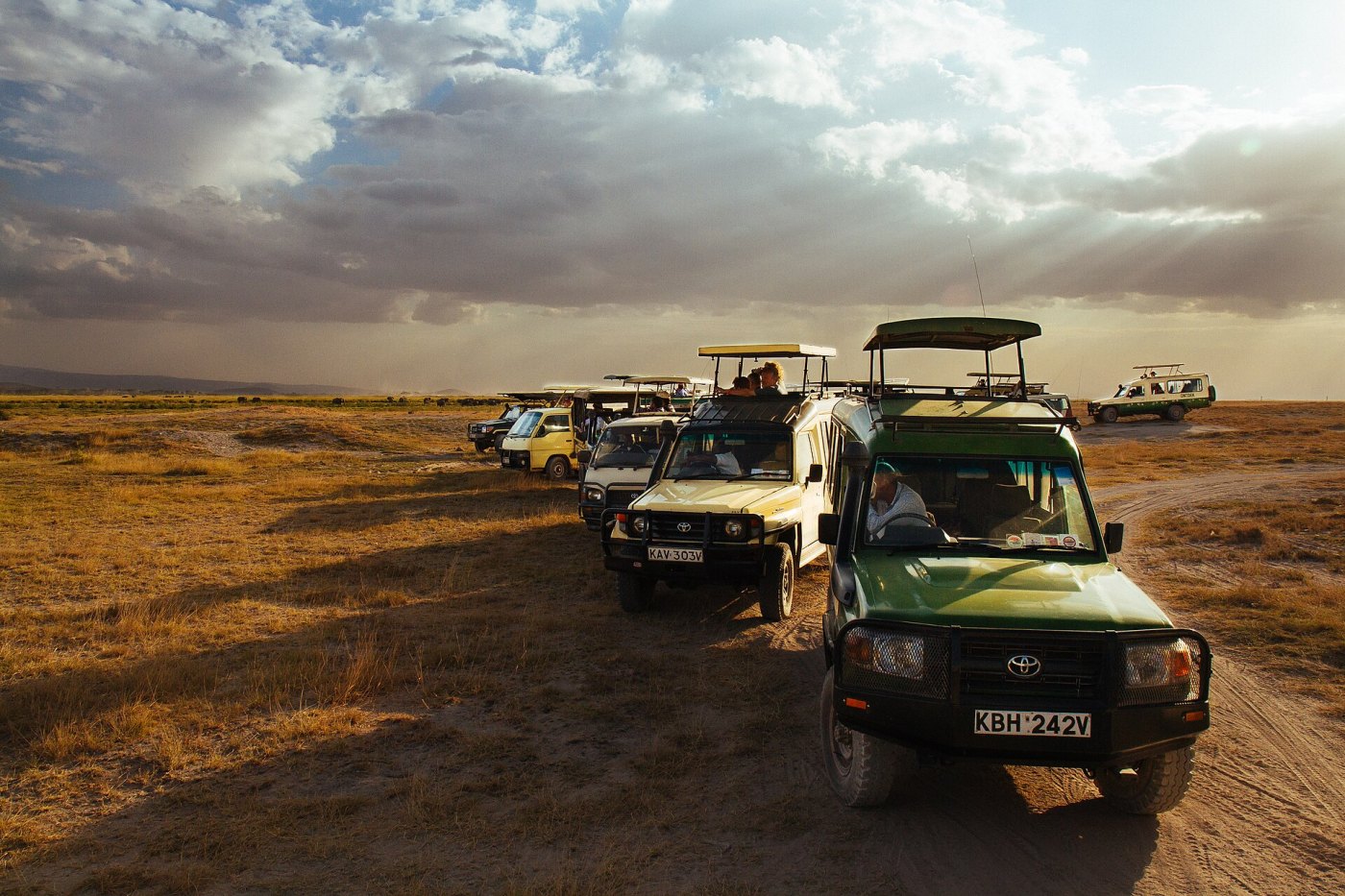 Packing for an East African Safari: What Actually Matters