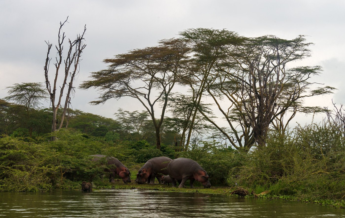 Mara Weekend Escape