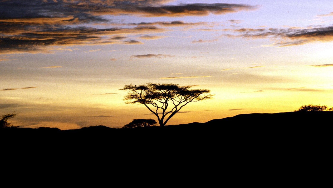 Spirit of Africa