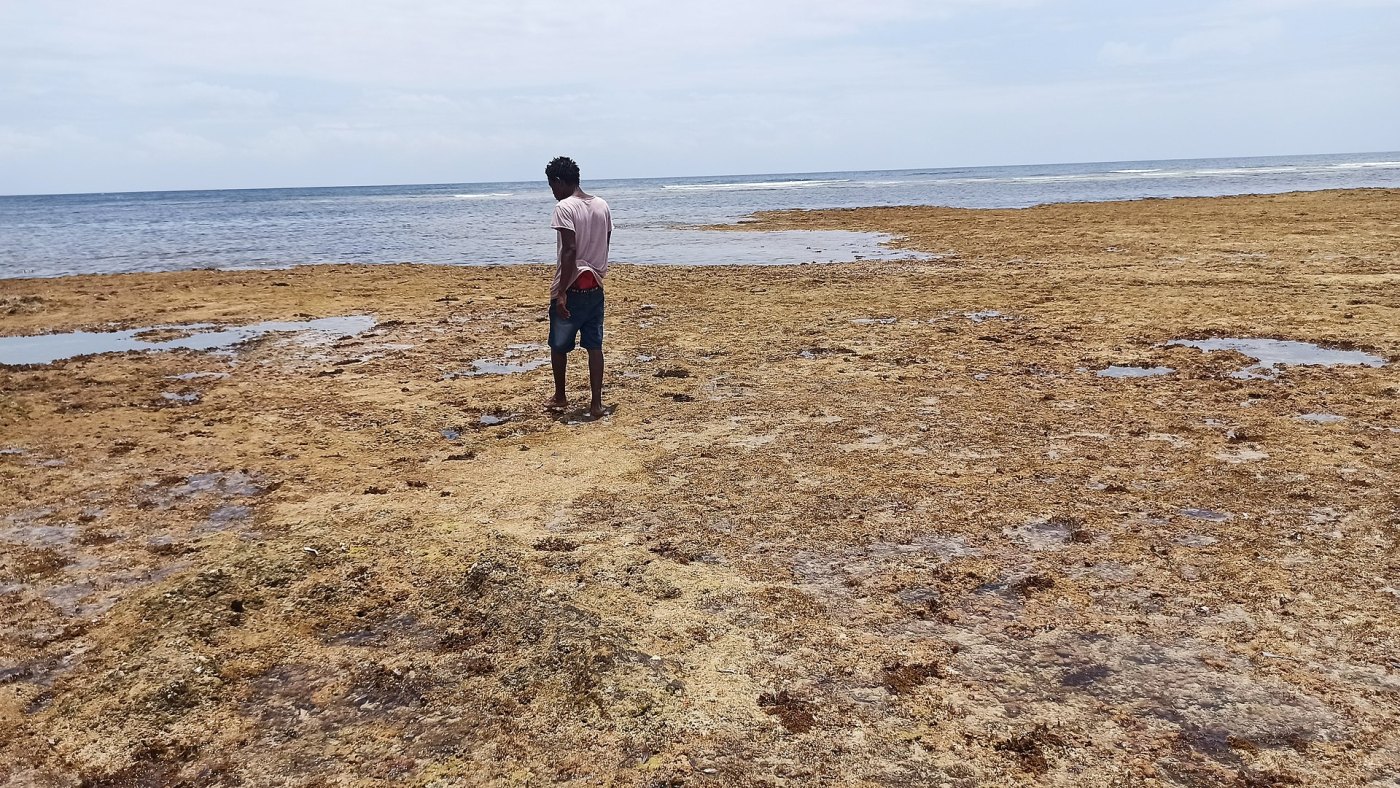 Watamu & Malindi Extension